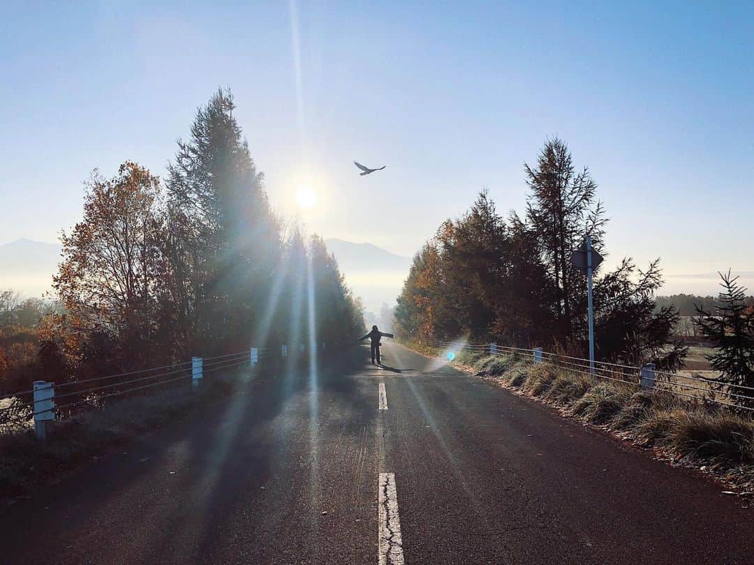 10_yaのインスタグラム：「#furanature」