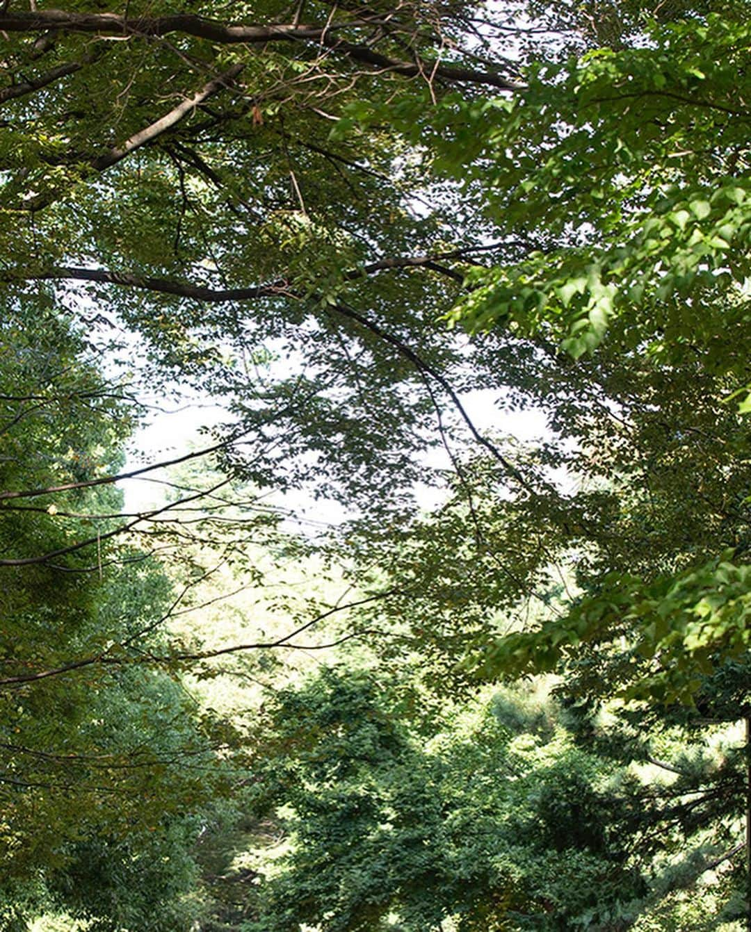 志村美希さんのインスタグラム写真 - (志村美希Instagram)「🌳🍂🪵🥾 ⁡ 撮影で着てお気に入りすぎて一式オーダーした😹 今年はアウトドア女子になります(？) ⁡  #mountainmartialarts」10月30日 20時16分 - mikkitygram