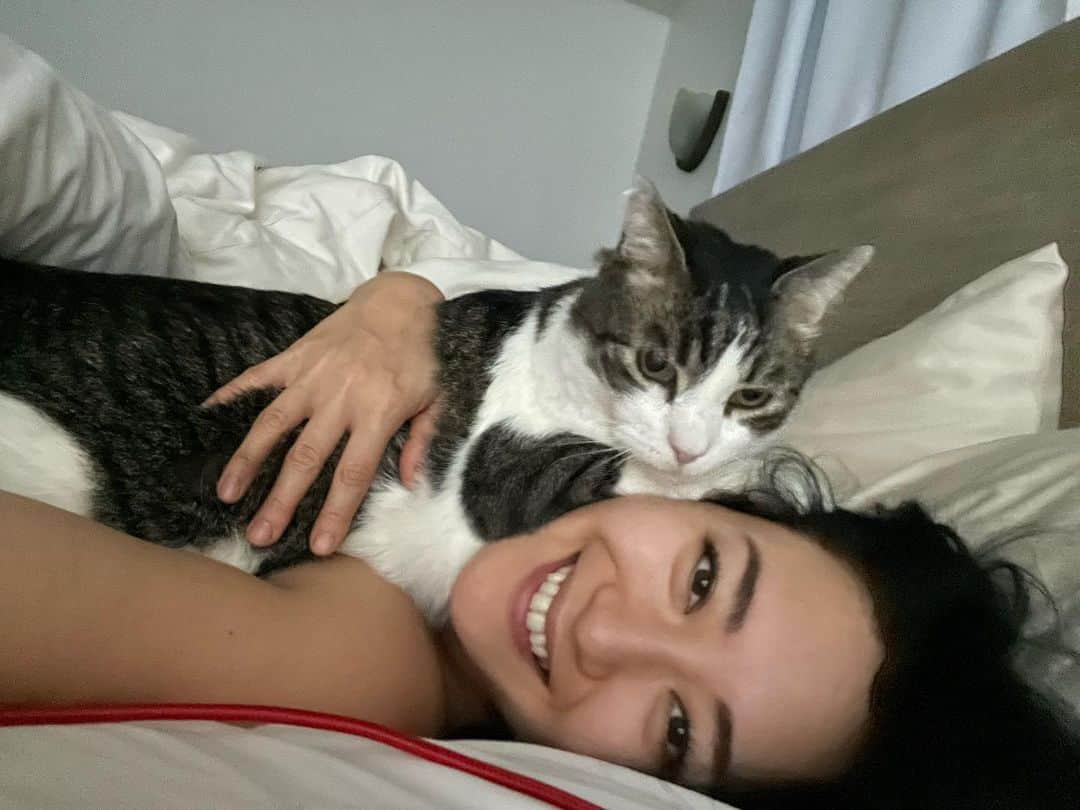 矢吹春奈のインスタグラム：「Sleeping in on a Sunday morning with Shima. 🐈💖」