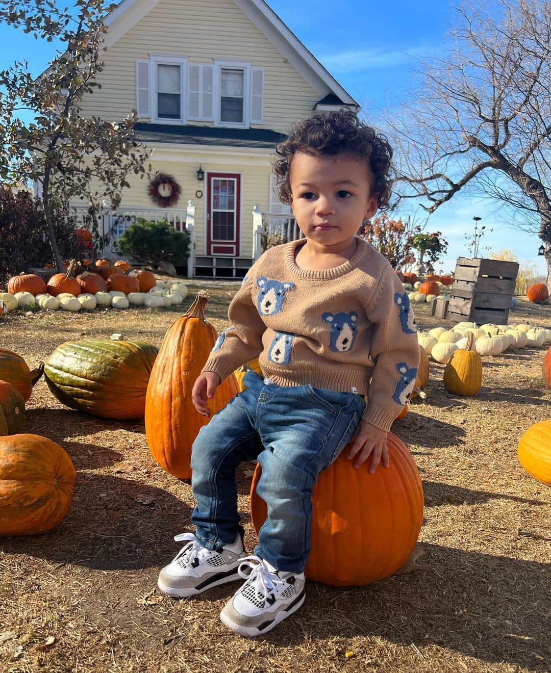 さんのインスタグラム写真 - (Instagram)「if you saw my child rolling the kids’ pumpkins down the hill, no you didn’t」10月31日 7時55分 - audreyanamichelle