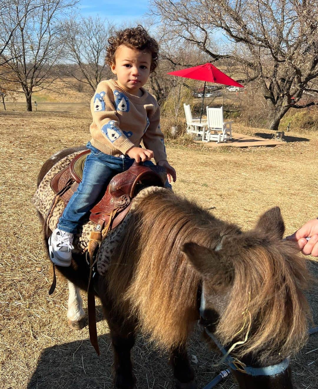 さんのインスタグラム写真 - (Instagram)「if you saw my child rolling the kids’ pumpkins down the hill, no you didn’t」10月31日 7時55分 - audreyanamichelle