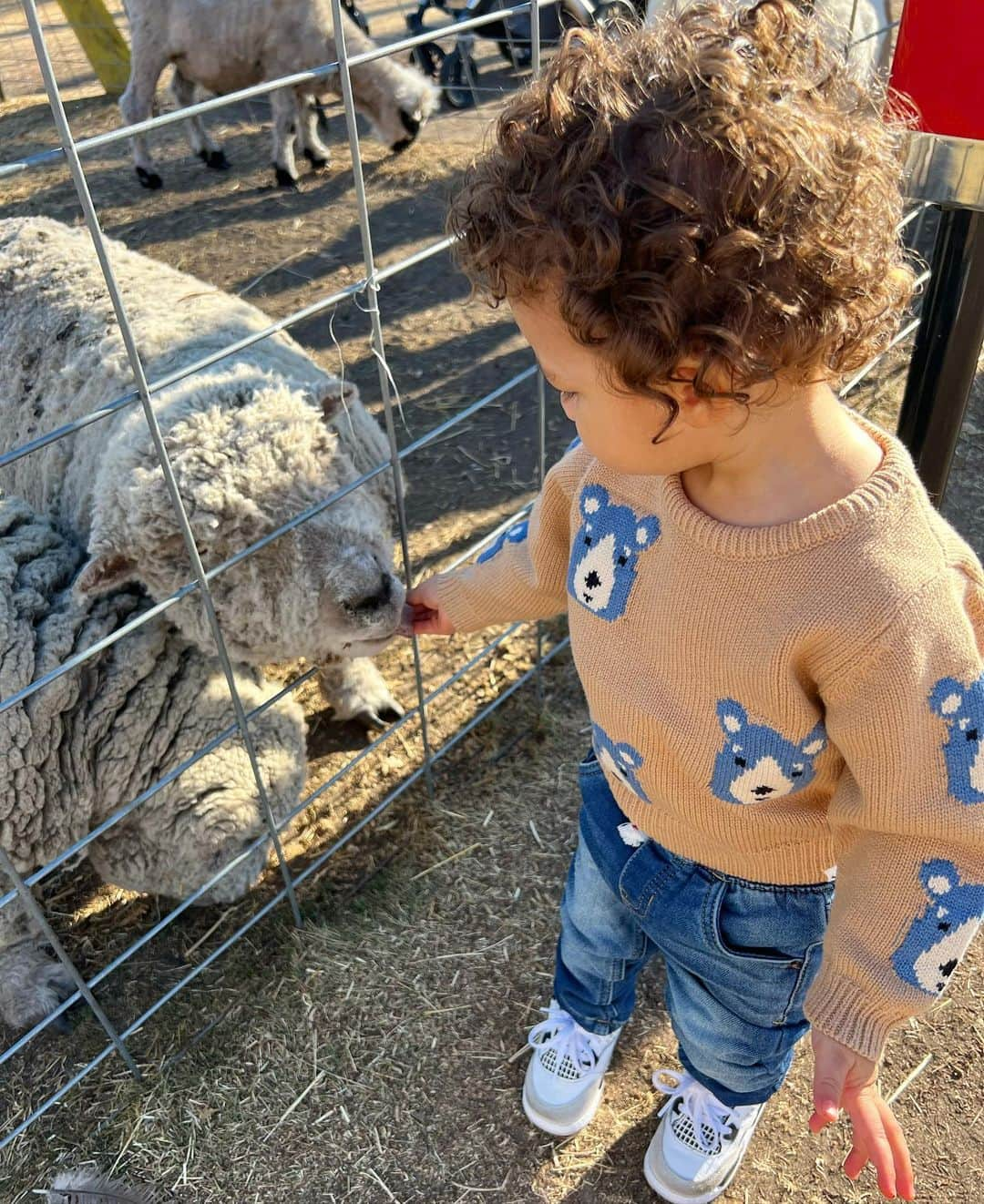 さんのインスタグラム写真 - (Instagram)「if you saw my child rolling the kids’ pumpkins down the hill, no you didn’t」10月31日 7時55分 - audreyanamichelle