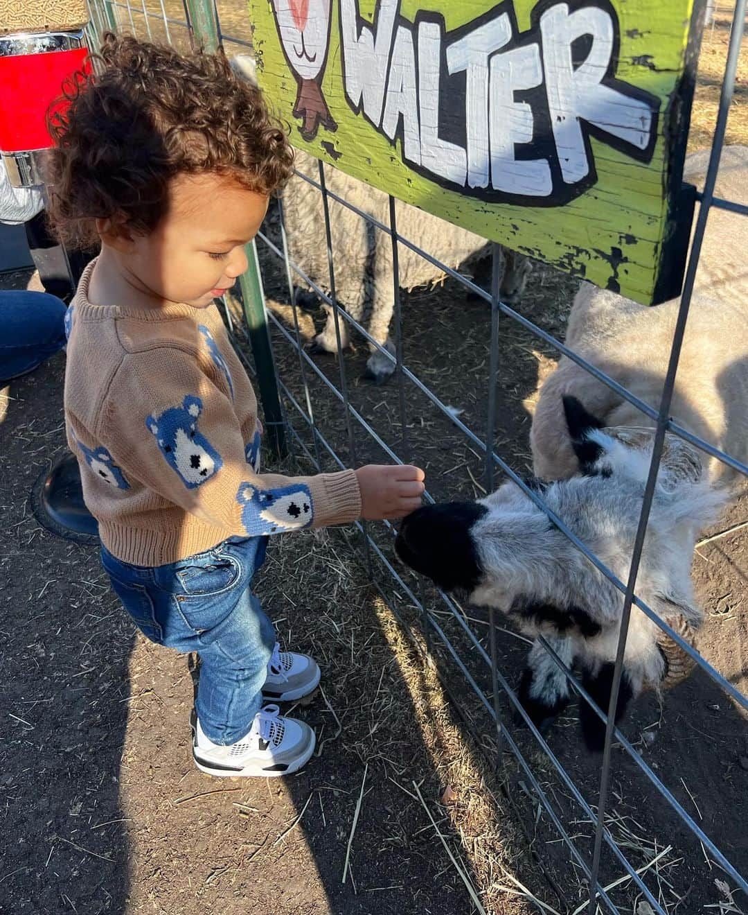 さんのインスタグラム写真 - (Instagram)「if you saw my child rolling the kids’ pumpkins down the hill, no you didn’t」10月31日 7時55分 - audreyanamichelle