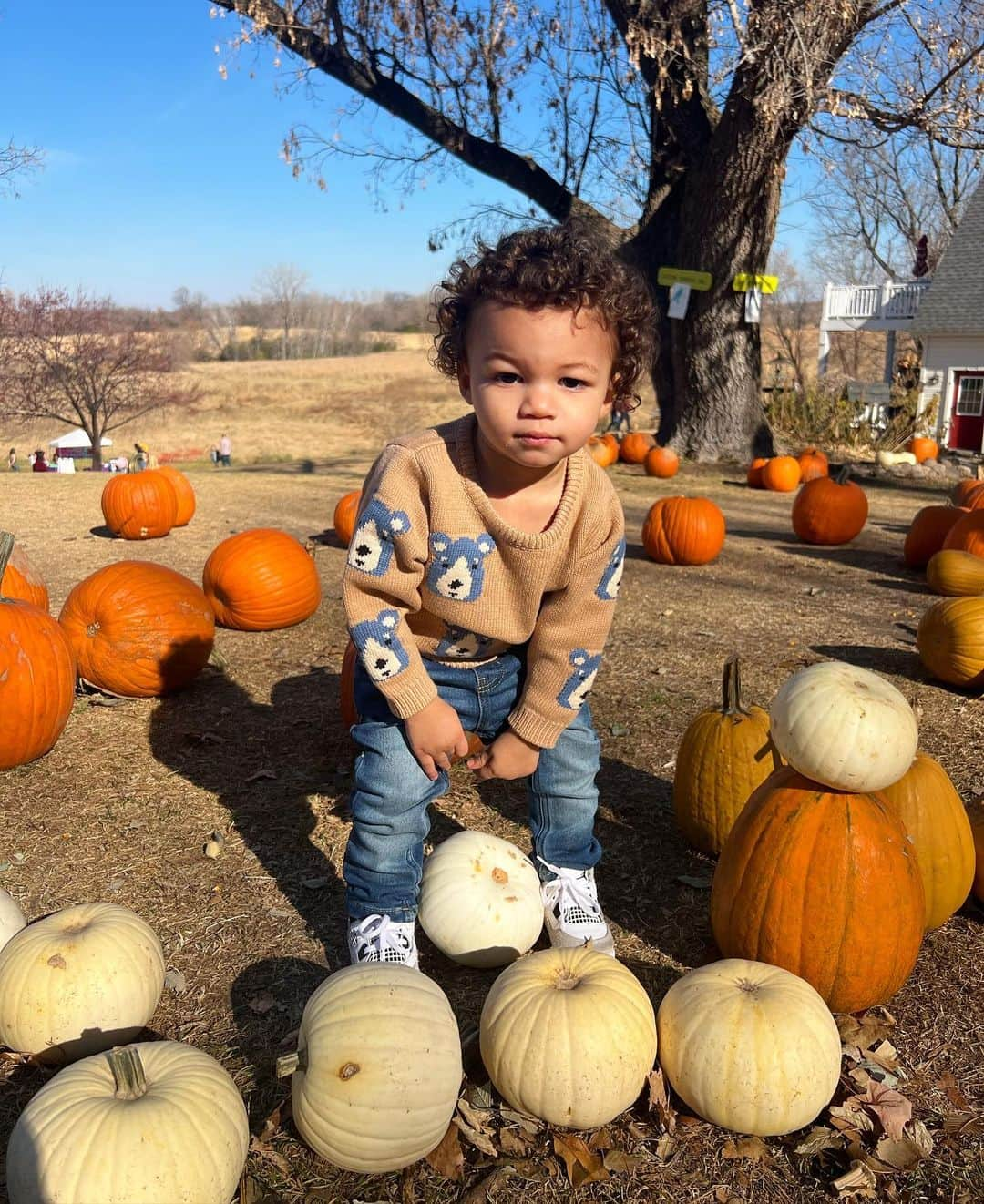 さんのインスタグラム写真 - (Instagram)「if you saw my child rolling the kids’ pumpkins down the hill, no you didn’t」10月31日 7時55分 - audreyanamichelle