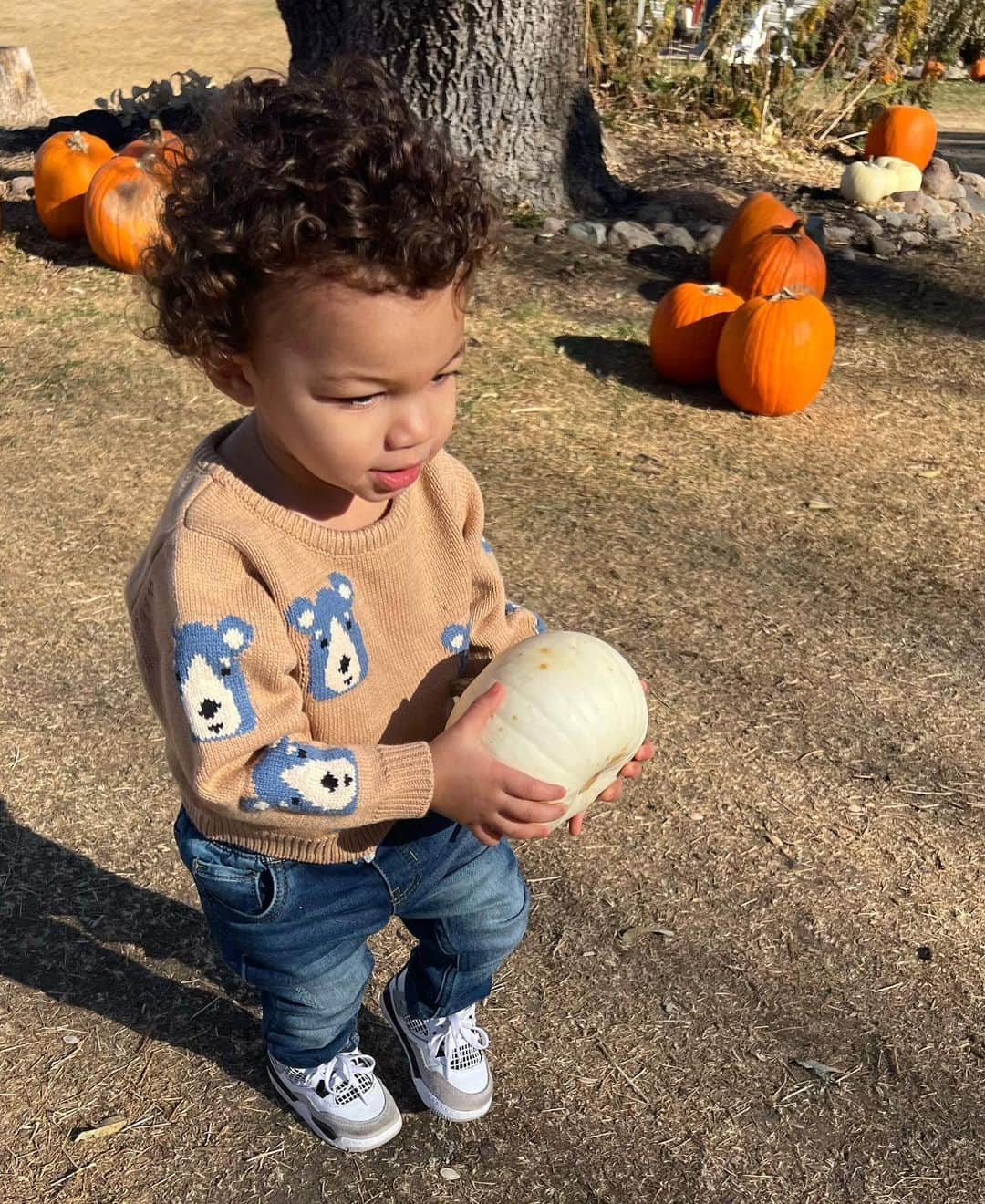 さんのインスタグラム写真 - (Instagram)「if you saw my child rolling the kids’ pumpkins down the hill, no you didn’t」10月31日 7時55分 - audreyanamichelle