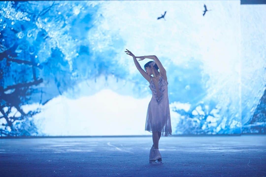 今井遥のインスタグラム：「福岡公演が終わりました。 ありがとうございました✨  写真は「白鳥の湖」の1シーン📷  次の公演は11/12〜13京都公演です！  #beyondmaotour #福岡 #白鳥の湖」
