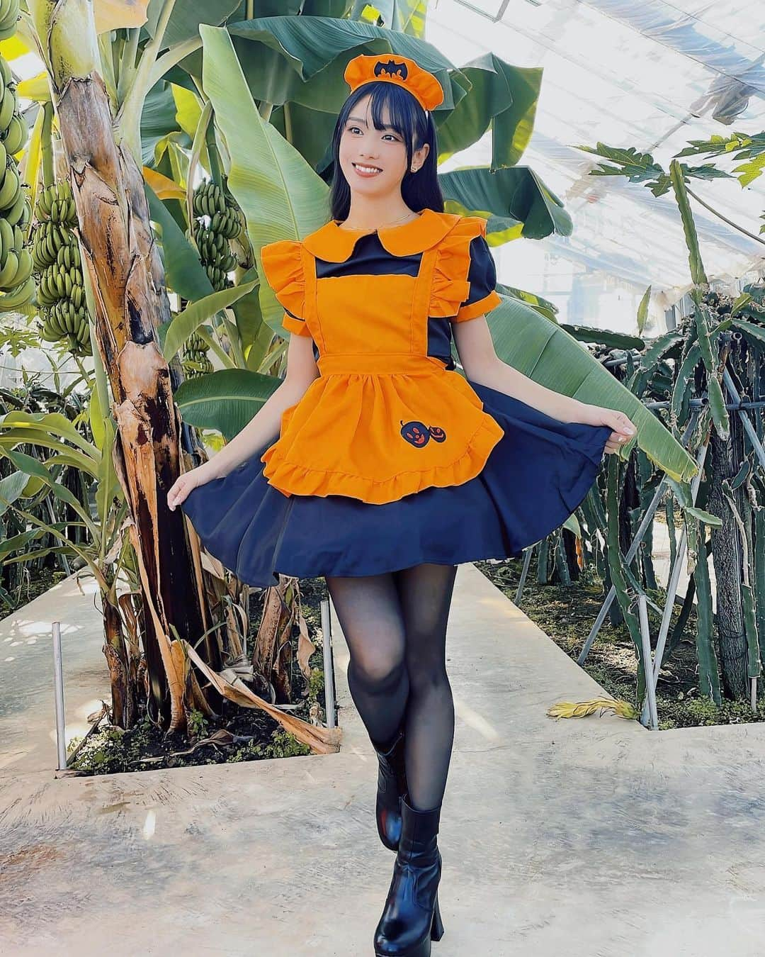 長谷川晴奈のインスタグラム：「Happy Halloween🎃🦇  バスツアーの3shotチェキでカボチャの メイドさん着てみた時のやつ👻 背景のせいでコンセプト訳わかんなく なっちゃってるけど😂  お菓子くれないといたずらしちゃうぞー  #happyhalloween #halloween #trickortreat #ハロウィーン　#ハロウィーンコス　#仮装　#チェキ　#イベント　#バスツアー　#メイド　#かぼちゃ　#衣装　#南国風　#トロピカル」