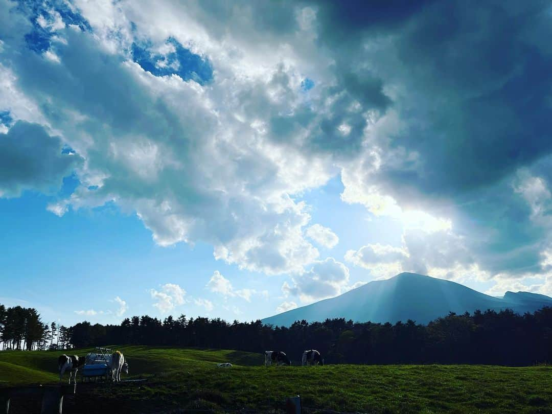 滝川クリステルのインスタグラム：「紅葉の季節ですね🍁 森林浴のありがたさ✨ 今日も綺麗な青空です。 大きく深呼吸 ステキな１週間を🌿🍂🍁🌳 #美しい自然 #滝川クリステル #自然の中にいるときの息子が本当に嬉しそう #土の上はなるべく裸足に」