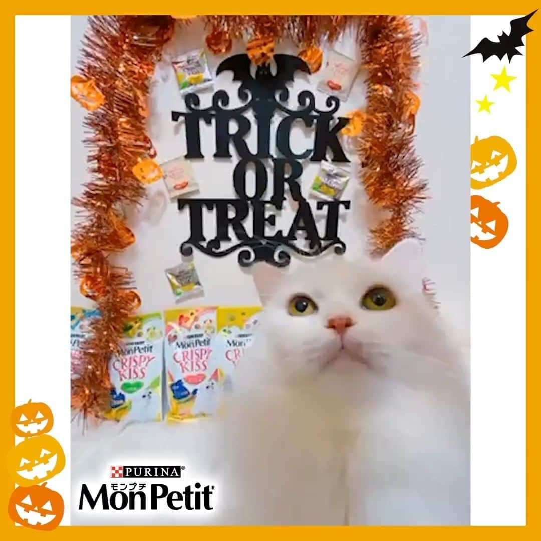 Purina Mon Petit Japanのインスタグラム：「🎃＼ #ハッピーハロウィン／🎃  Trick or Treat！ 皆さんはネコちゃん達とどんな #ハロウィン をお過ごし予定ですか？  いたずらよりもおやつに夢中？そんな特別なハロウィンのおやつに　#モンプチクリスピーキッス　はいかがですか？  ネコちゃんとの特別な時間を #モンプチ で楽しんでみませんか？💗ネコちゃんにもきっと伝わるあなたの想い☺♪」