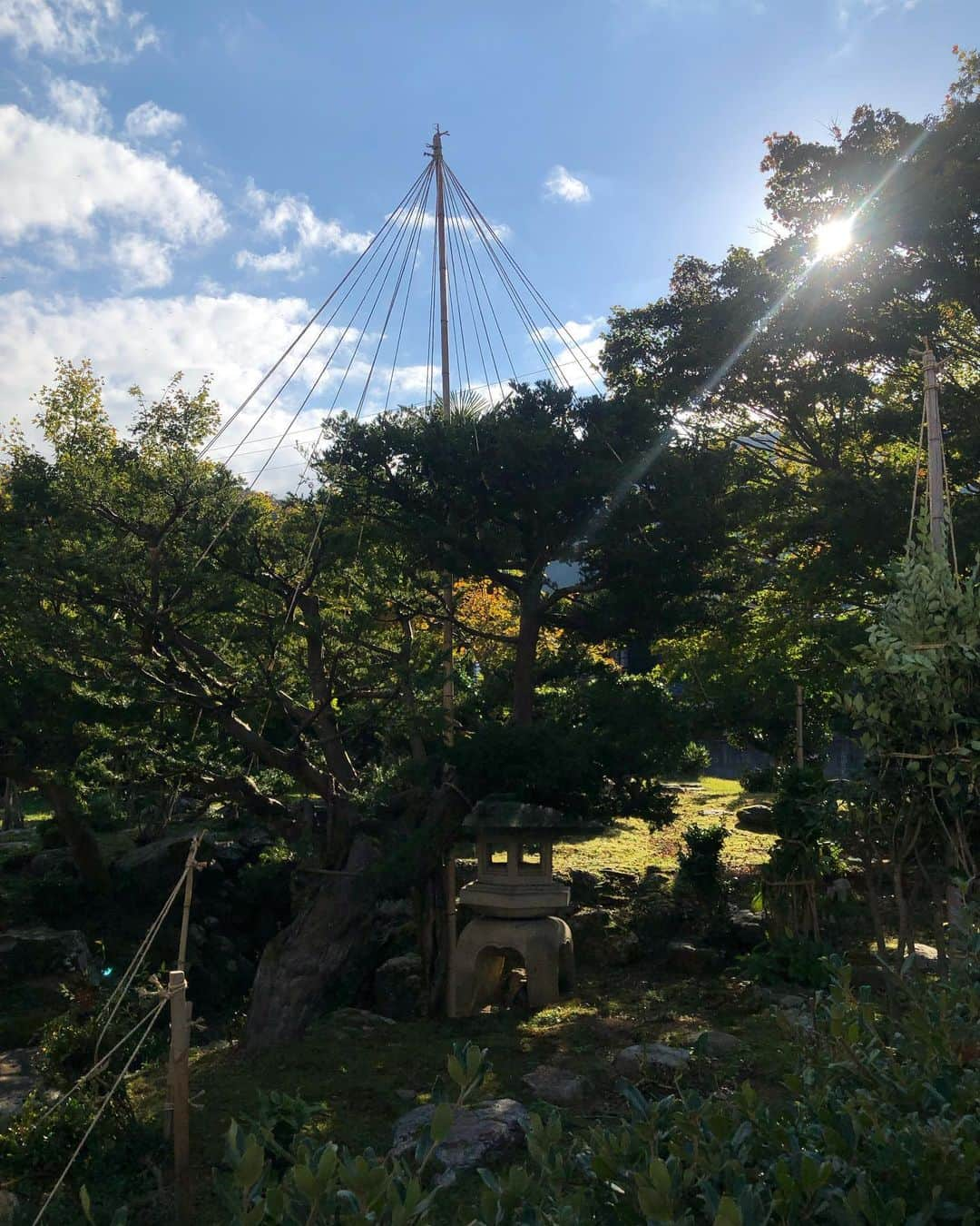 旅館 川端屋のインスタグラム：「雪吊り  #fukui #minamiechizen #imajyo #ryokan #bookingcom #booking_jp #traditionaljapan #japanesetradition #japanesecountryside  #japantrip #beautiful #beautifulday #travel  #traveljapan #wonderfulworld #worldtravelerer #amazing #jorney #sunrise #sunset #instaravel #travelgram #雪吊り #ゆきつり#ゆきづり  #川端屋 #今庄 #今庄宿 #全国旅行支援」