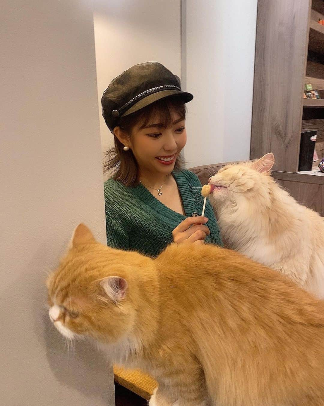 松岡凛さんのインスタグラム写真 - (松岡凛Instagram)「昨日は初めて猫カフェしてきて癒された🥹💗 可愛い子たくさんいた♪ @mocha.koendori   たくさん写真載せちゃったから見てね🤍！  #渋谷カフェ#猫カフェ#渋谷猫カフェmocha#渋谷猫カフェモカ#渋谷猫カフェ #pr」10月31日 16時01分 - matuoka_1214