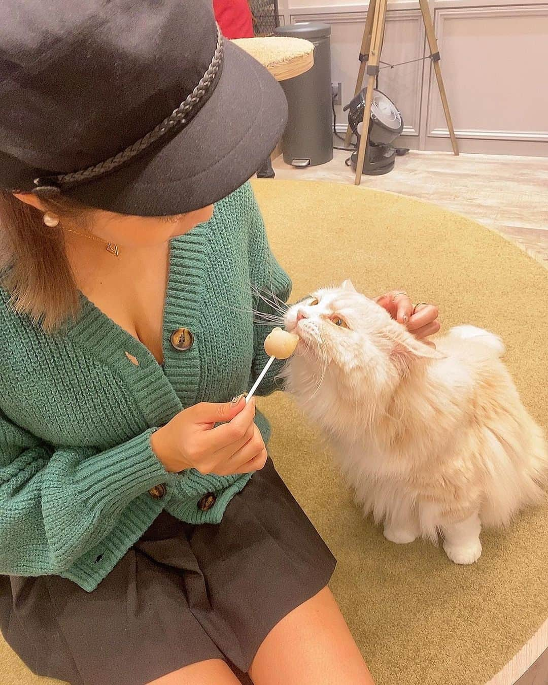 松岡凛さんのインスタグラム写真 - (松岡凛Instagram)「昨日は初めて猫カフェしてきて癒された🥹💗 可愛い子たくさんいた♪ @mocha.koendori   たくさん写真載せちゃったから見てね🤍！  #渋谷カフェ#猫カフェ#渋谷猫カフェmocha#渋谷猫カフェモカ#渋谷猫カフェ #pr」10月31日 16時01分 - matuoka_1214