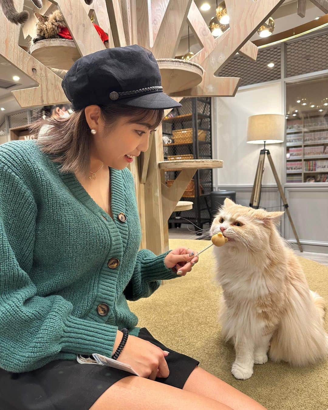 松岡凛さんのインスタグラム写真 - (松岡凛Instagram)「昨日は初めて猫カフェしてきて癒された🥹💗 可愛い子たくさんいた♪ @mocha.koendori   たくさん写真載せちゃったから見てね🤍！  #渋谷カフェ#猫カフェ#渋谷猫カフェmocha#渋谷猫カフェモカ#渋谷猫カフェ #pr」10月31日 16時01分 - matuoka_1214