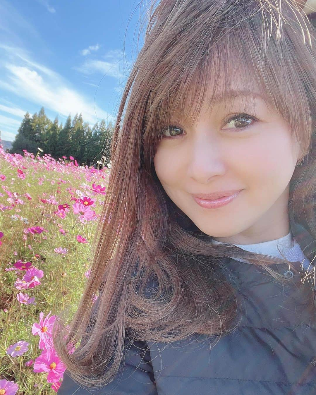 渡辺美奈代さんのインスタグラム写真 - (渡辺美奈代Instagram)「旅行中 #わんこと一緒  #秋桜 #新潟 #秋桜畑 #のんびり」10月31日 16時02分 - watanabe_minayo