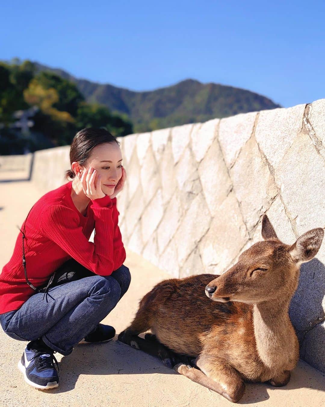 のインスタグラム：「ふと思い立って、ふらり一人旅。  納品物を総ておさめて、スケジュールが真っ白な日が数日。さて何しよう？からの唐突&行き当たりばったりな旅、最高でした。  初の広島、鹿ちゃんは可愛かったし（概ねおっとりしていた）、厳島神社も工事がほぼ完了していたし、ご飯も美味しかった！  またふらりとどこかに行きたいな。  因みに広島と言えば赤でしょ！と持って行ったAKTEの赤ニット。あまりにも単純かしらと思いましたが、晴天の宮島と相性抜群で嬉しかったです。  （画像は写真撮りましょうかおばさんが撮りましょうか返しをして貰った時の写真。大変良い1枚だった👏🏻）  あと急遽予約して宿泊した錦水館 @miyajima_kinsuikan_ とても良かったです。おすすめ。  #広島#ひとり旅#厳島神社#鹿#akte#アクテ#宮島」