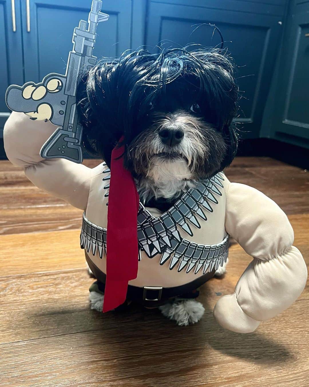 ケヴィン・サスマンのインスタグラム：「Please stop calling this a Halloween costume. Larry worked his butt off to get cast as the new Rambo.」