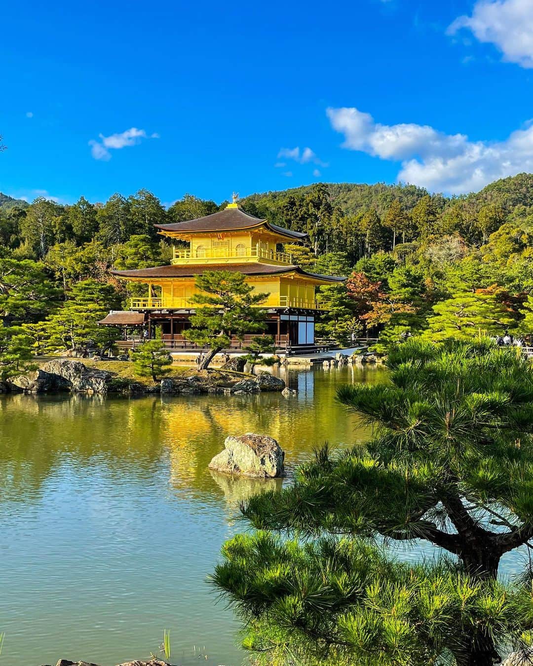 由井香織のインスタグラム：「紅葉前の金閣寺🍁 紅葉になると1日2万人程が訪れるらしい😳葉っぱはほんのり赤く色づいていました❤️ 2.3枚目、キモノロード👘 4.5枚目、白川💙  #kyoto#金閣寺#京都観光#旅#japan#trabel#キモノロード#紅葉#京都#観光スポット#日本#関西」