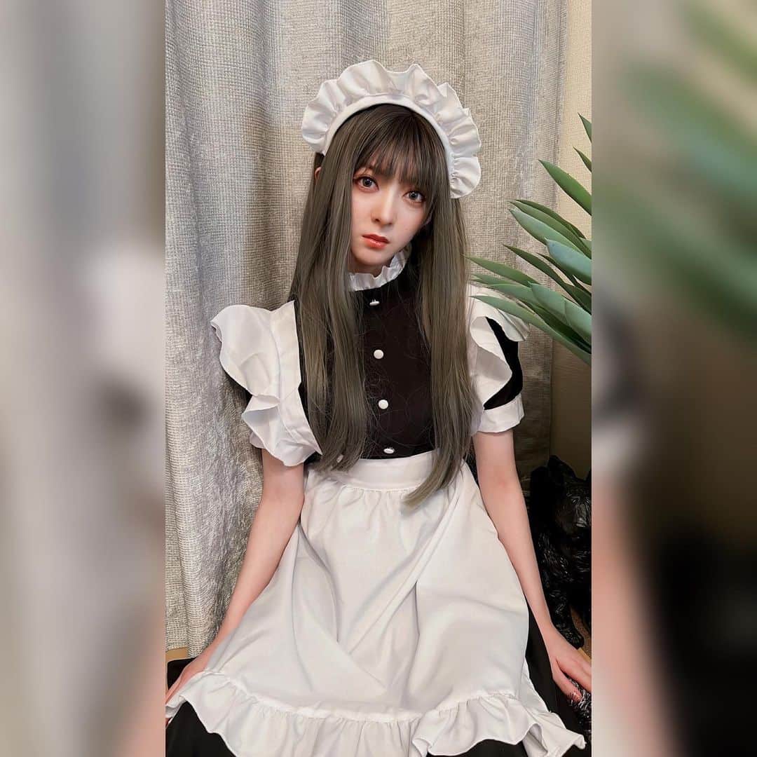 のインスタグラム：「🎃🍫Halloween 2022🍭🍬はメイドさん！ 愛犬のマシュはうさぎさん🐰💕」