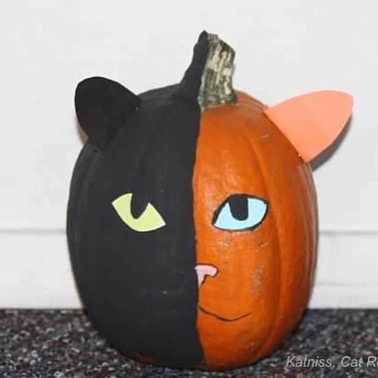 Venus Cat さんのインスタグラム写真 - (Venus Cat Instagram)「👻🎃 Happy Halloween! 🎃👻 Here are a collection of your favorite pics from over the years. Have fun everyone and stay safe! 👻👻👻👻👻👻👻👻👻👻👻 #happyhalloween #halloween #halloweencat #twofacecat #venus #venustwofacecat #weeklyfluff #catsofinstagram #cat #kitten @cats_of_instagram」11月1日 2時15分 - venustwofacecat