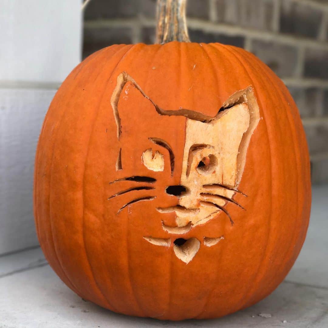 Venus Cat さんのインスタグラム写真 - (Venus Cat Instagram)「👻🎃 Happy Halloween! 🎃👻 Here are a collection of your favorite pics from over the years. Have fun everyone and stay safe! 👻👻👻👻👻👻👻👻👻👻👻 #happyhalloween #halloween #halloweencat #twofacecat #venus #venustwofacecat #weeklyfluff #catsofinstagram #cat #kitten @cats_of_instagram」11月1日 2時15分 - venustwofacecat