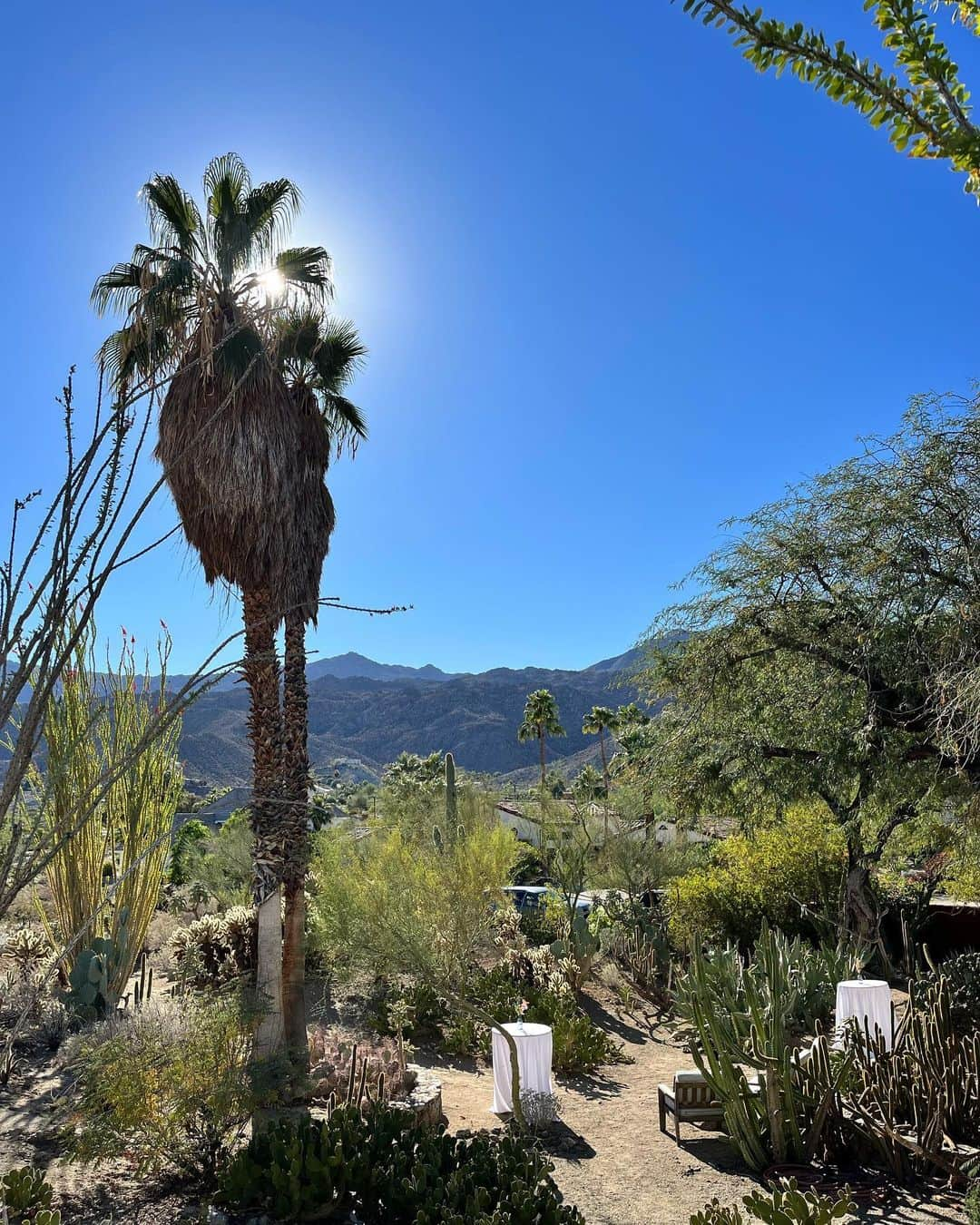 ブリタニー・ロジャースさんのインスタグラム写真 - (ブリタニー・ロジャースInstagram)「wrapping up an incredible wedding szn in the desert with YU two 🤍 thanks for delaying the seasonal depression a bit longer with a trip to cali, love YU both! 🥂」11月1日 2時28分 - brittyrogers