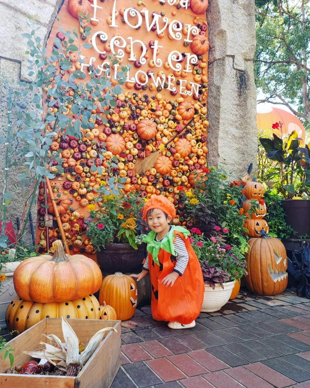 西真理子さんのインスタグラム写真 - (西真理子Instagram)「Happy🎃Halloween  1日出遅れてしまった😂 今年はフラワーセンターに遊びに行きました❣可愛いディスプレイが沢山あり初めて見るお化けカボチャに大興奮🎃‼楽しんでくれたみたいです😊 お決まりのアイリー🐶との2ショットはもぉ動き回ってしまうので残念ながら上手く撮れませんでした😩 でも相変わらず仲良しのお二人❤  今年のケーキは『カボチャバスクチーズケーキ』作りました💓皆喜んでくれてよかった🤭  最後の写真は昨年の息子😍 小さくてまだぷにぷにしてたぁ💕 つかまり立ちでアーウー位の言葉。 同じ衣装🎃なのにぶかぶかだったのね！最近はなんとなく会話もできるようになって本当成長したね🤗💕 来年はカボチャ着れるかな🤭またお出かけしようね💓  #ハロウィン #ハロウィン仮装 #ハロウィンケーキ #手作りケーキ #1歳7ヶ月  #男の子ママと繋がりたい  #男の子ママ #フラワーセンター  #低出生体重児」11月1日 13時04分 - mari.nishi.7