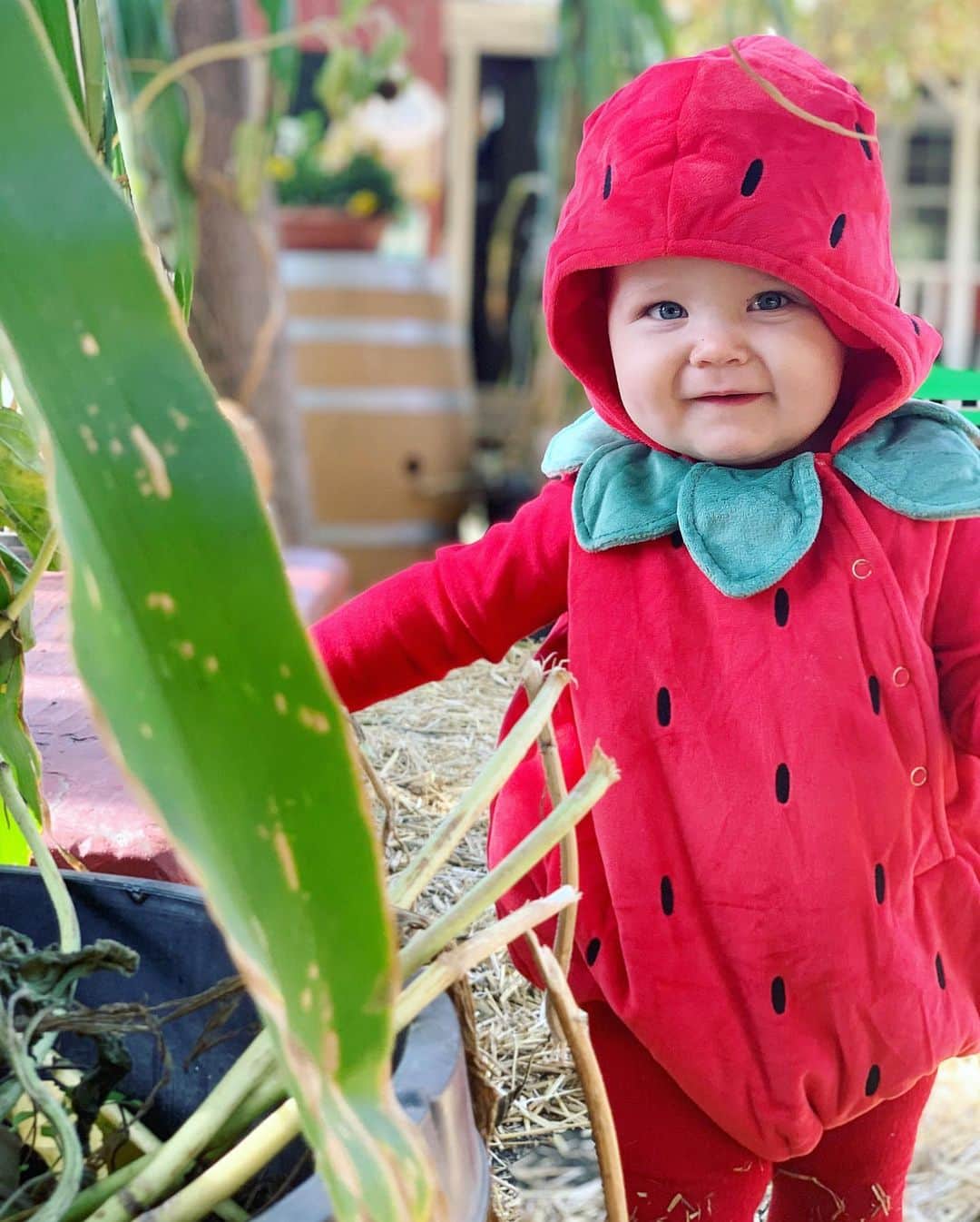 ブリタニー・ダニエルのインスタグラム：「Happy Halloween from our strawberry baby Hope Rose Touni. @adam.touni #HappyHalloween #HopeRose」
