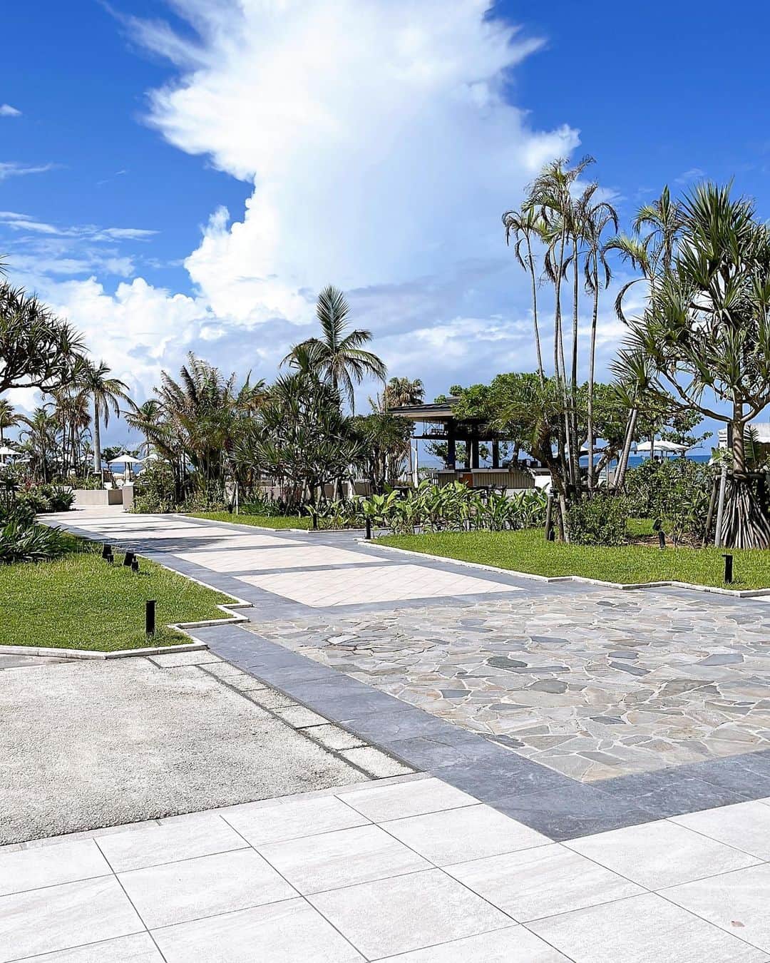 長沢美月さんのインスタグラム (長沢美月_mizuki_0212)