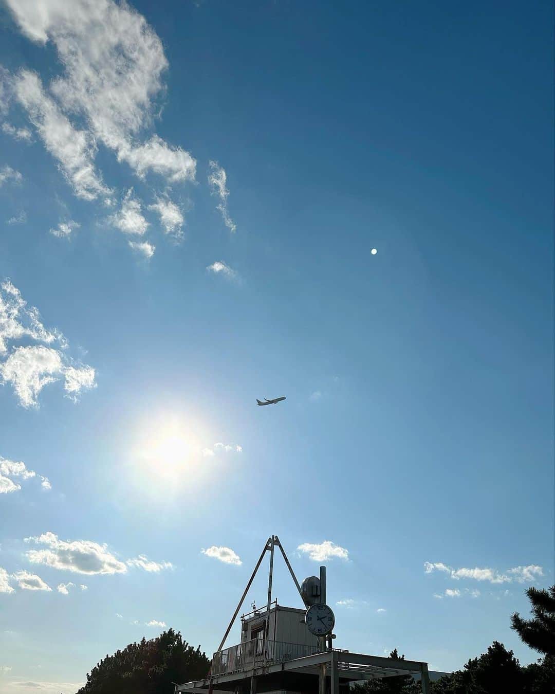 YUCAMAMEさんのインスタグラム写真 - (YUCAMAMEInstagram)「✈︎✈︎✈︎  飛行機と一緒に写真が撮れる公園  羽田空港に離着陸する飛行機が見れるよ✌️  大きなドッグランもあるので🐶にもおすすめ  iPhoneだと米つぶ✈︎しか撮れなかったから、一眼が良いかも😂  📍城南島海浜公園  #城南島海浜公園 #飛行機のある風景 #愛犬 #愛犬とお出かけ #お散歩 #ちわわ部 #秋晴れ」11月1日 15時55分 - yucamame