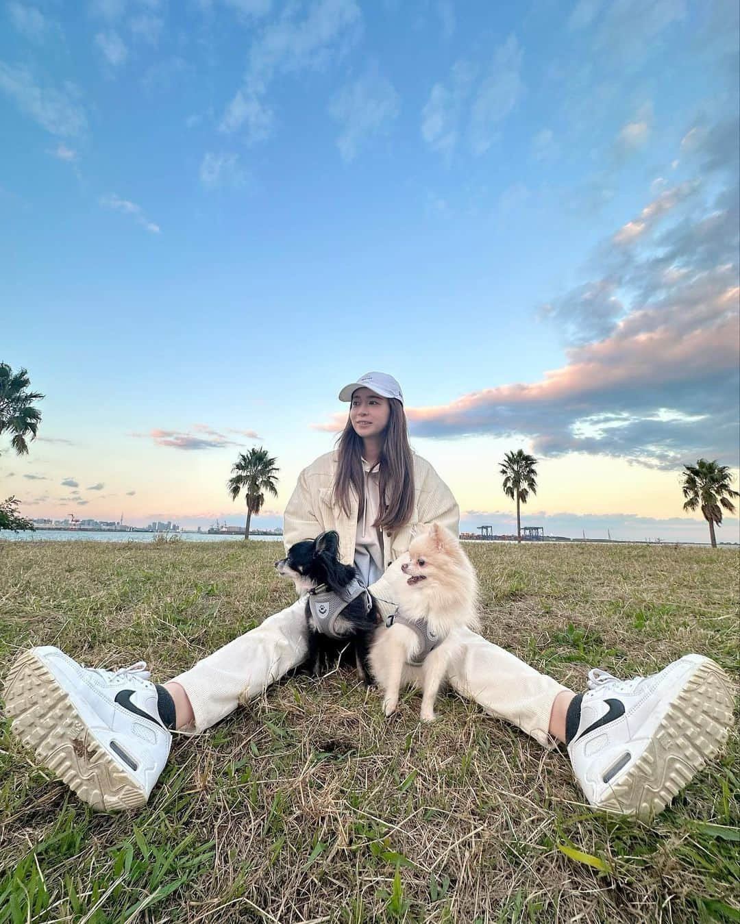 YUCAMAMEのインスタグラム：「✈︎✈︎✈︎  飛行機と一緒に写真が撮れる公園  羽田空港に離着陸する飛行機が見れるよ✌️  大きなドッグランもあるので🐶にもおすすめ  iPhoneだと米つぶ✈︎しか撮れなかったから、一眼が良いかも😂  📍城南島海浜公園  #城南島海浜公園 #飛行機のある風景 #愛犬 #愛犬とお出かけ #お散歩 #ちわわ部 #秋晴れ」