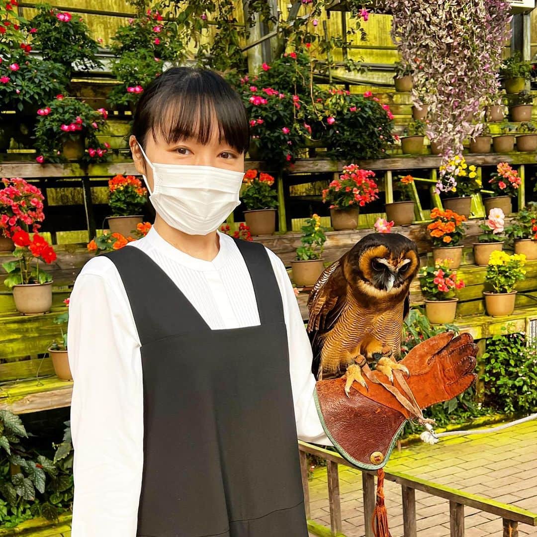 宮川美保のインスタグラム：「富士花鳥園に行きました。 フクロウ、ミミズク、ペンギン、フラミンゴ、黒鳥…いろんな鳥に会えました。 バードショーも最高！！ #富士花鳥園」