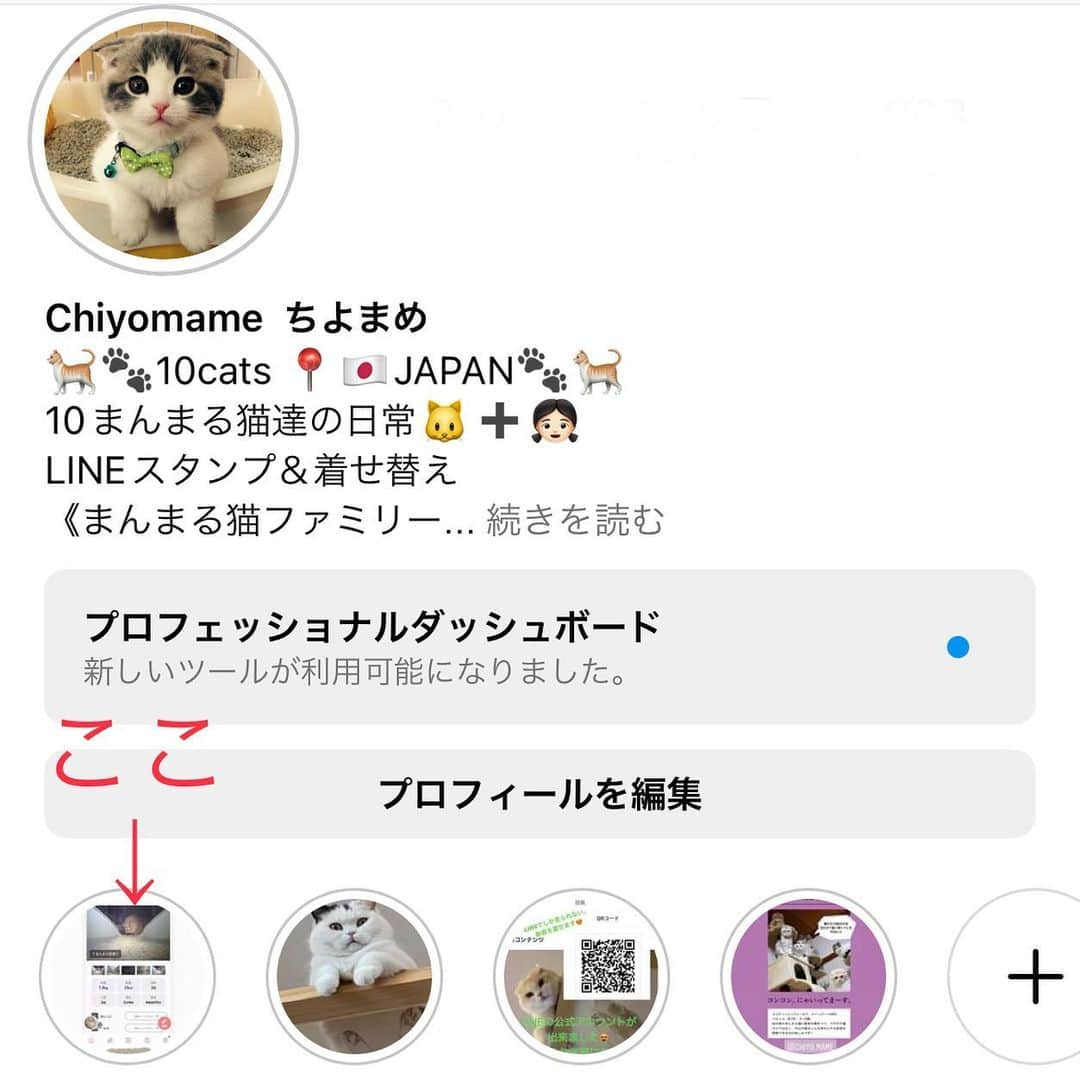 Chiyomame ちよまめさんのインスタグラム写真 - (Chiyomame ちよまめInstagram)「話題の猫トイレ🚽🐈 #トレッタ　@toletta.cat   我が家は、特にまろん🌰が トレッタをお気に入りです😸 使うたびに外出先でもアプリから通知が来て おトイレに入った時の動画を見れたりします😍  尿の量や、体重まで測ってくれちゃう😲 さらにすごいのが、多頭飼いでも、 ちゃんとひとりひとりの管理ができること！　 毎日の体調管理がトイレに入るだけでできるなんて、 本当に便利😻  おトイレに入ることで健康管理もできる とっても賢いおトイレです🌟  😻只今期間限定で、 ブラックフライデーのセールと同価格で 私のストーリーズのリンクからお得に購入できます💓 ハイライト（トレッタsale）からも飛べますよ👍  迷っている方はこの機会に始めてみて下さい😆 公式アカウント @toletta.cat  では 気になるQ&Aも沢山のっています🐈‍⬛🌟  @toletta.cat  #トレッタ #PR  #mainecoon_mix_marron #maincoon #メインクーン#まん丸ねこ部 #cats #catstagram #kitten #kitty #catsofinstagram #ilovemycat #catoftheday #lovecats #スコティッシュフォールド#ScottishFold #adorable #catlover #instacat #baby #babycat #thedailykitten#猫 #子猫」11月1日 19時40分 - chiyo.mame