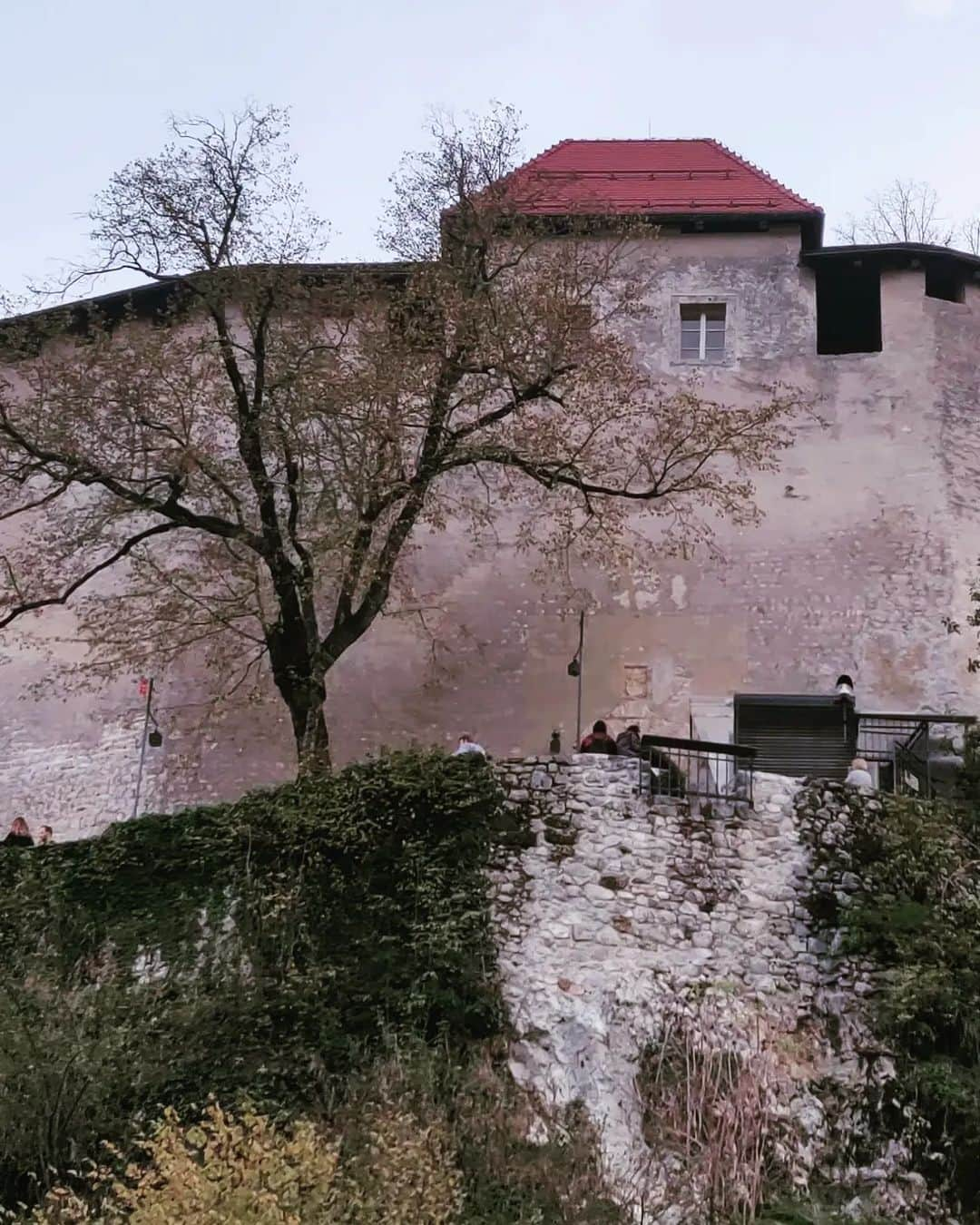 ティナ・デサイさんのインスタグラム写真 - (ティナ・デサイInstagram)「Castle Bled on the cliff, and the Assumption of Maria church on a little island on the famous Lake Bled (accessible by lil boats), wrapped around by the Julian Alps.😍😍😍 #slovenia🇸🇮」11月1日 20時58分 - desaitina