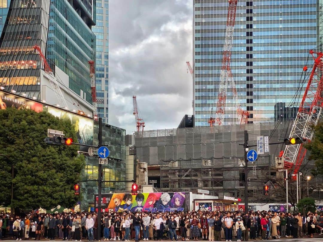 Yasuhito Shigakiのインスタグラム：「. . Shibuya Crossing . . . . Tokyo, Japan.」