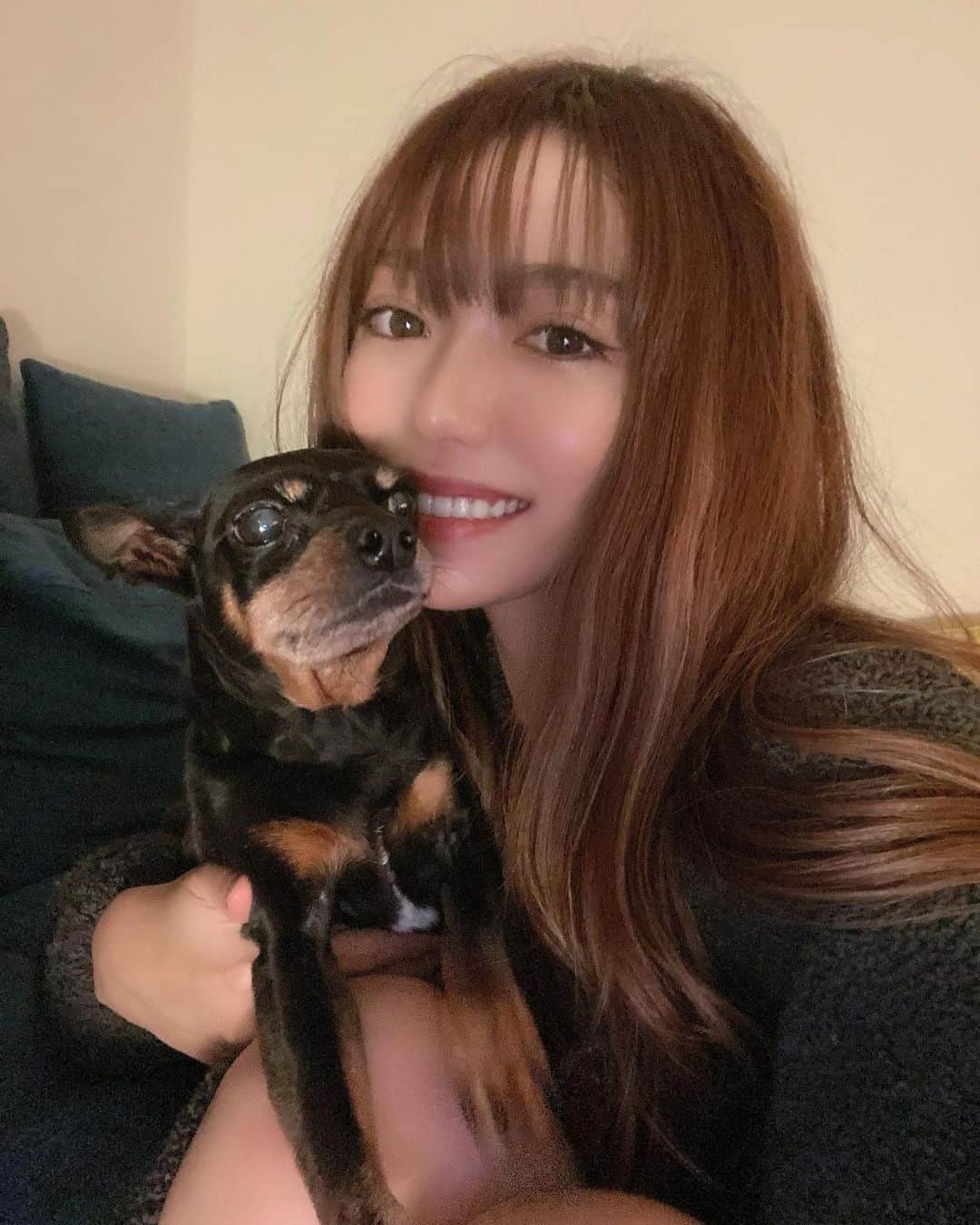 ARIKAのインスタグラム：「おかえりカシー💛💛  -  大手術を終えて おうちに帰ってきてくれました🥹💕  かっちゃんが幸せって思ってくれるように いっぱい愛与える💕💕  あーほんと大好き、可愛いー！ 長生きしてね☺️💛  -  #愛犬 #ミニチュアピンシャー」