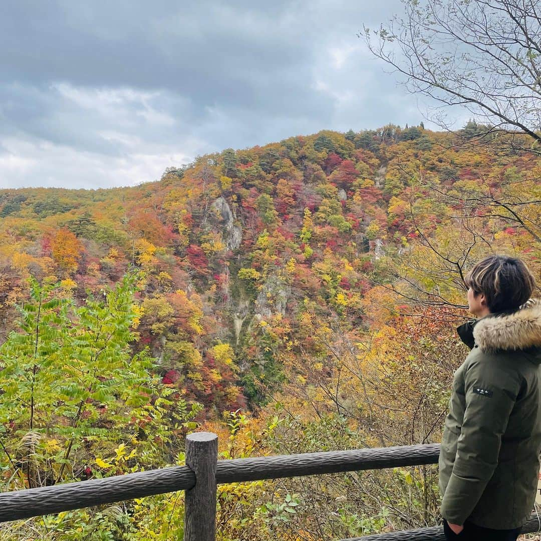 摂津颯登のインスタグラム：「今日は家族と宮城の鳴子峡に紅葉を見に😊🍁 やっぱり自然って癒されるなと、改めて感じた良い1日でした。  おやすみなさい。  #宮城#鳴子#鳴子峡#紅葉」