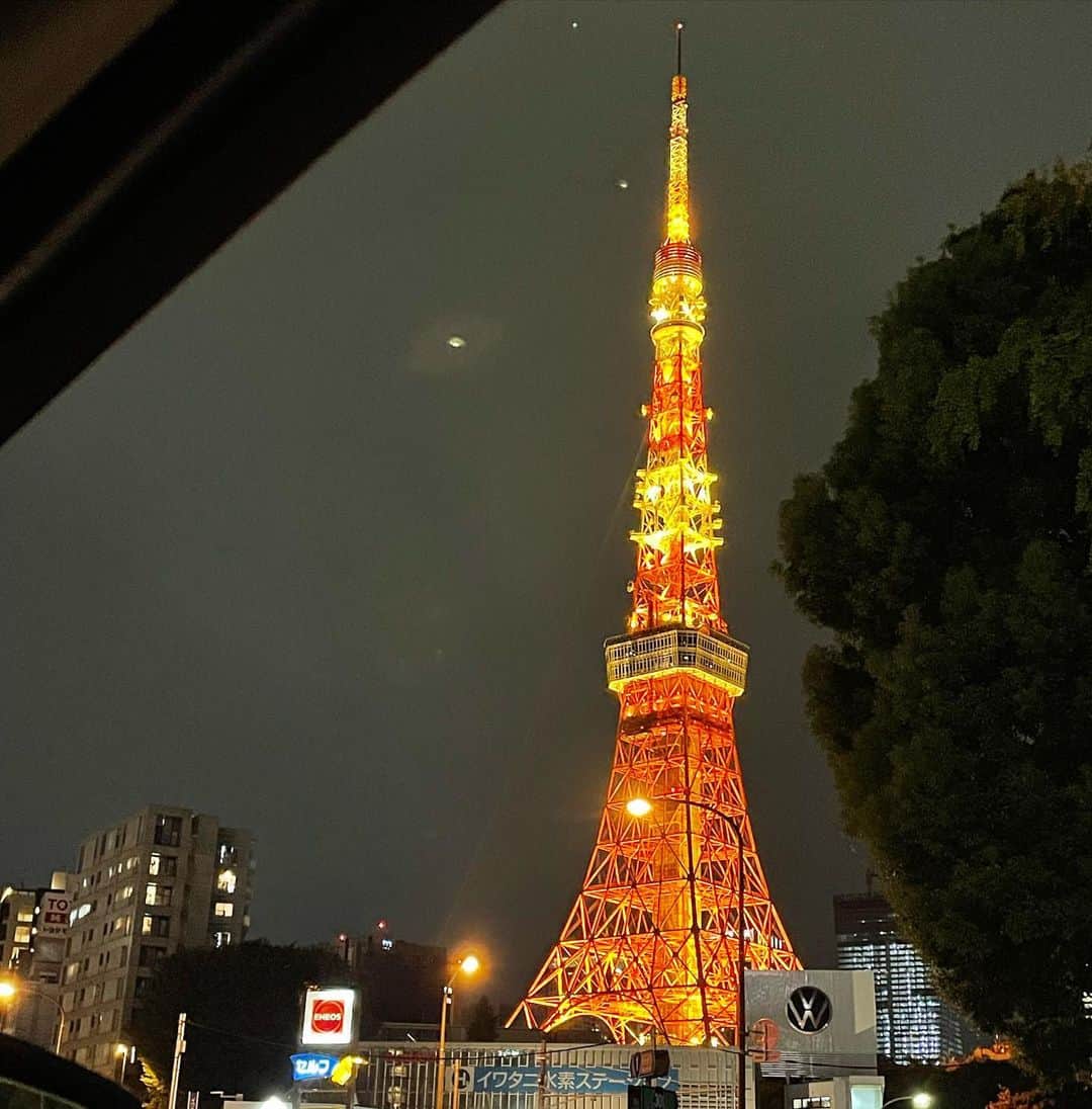 橋本志穂さんのインスタグラム写真 - (橋本志穂Instagram)「前夜に51階から眺めた東京タワー🗼 今日は麓から眺めました。 綺麗だったなぁ。 綺麗といえば、 すごく綺麗なお花をいただきました❣️ 癒される〜😍  #東京タワー」11月2日 3時13分 - shihohashimoto3