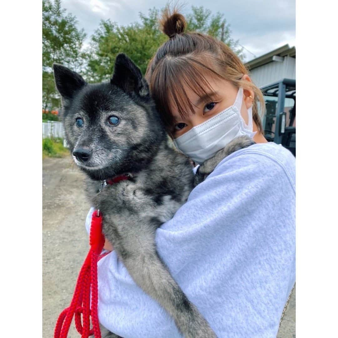 芳根京子のインスタグラム：「🐶🗻」