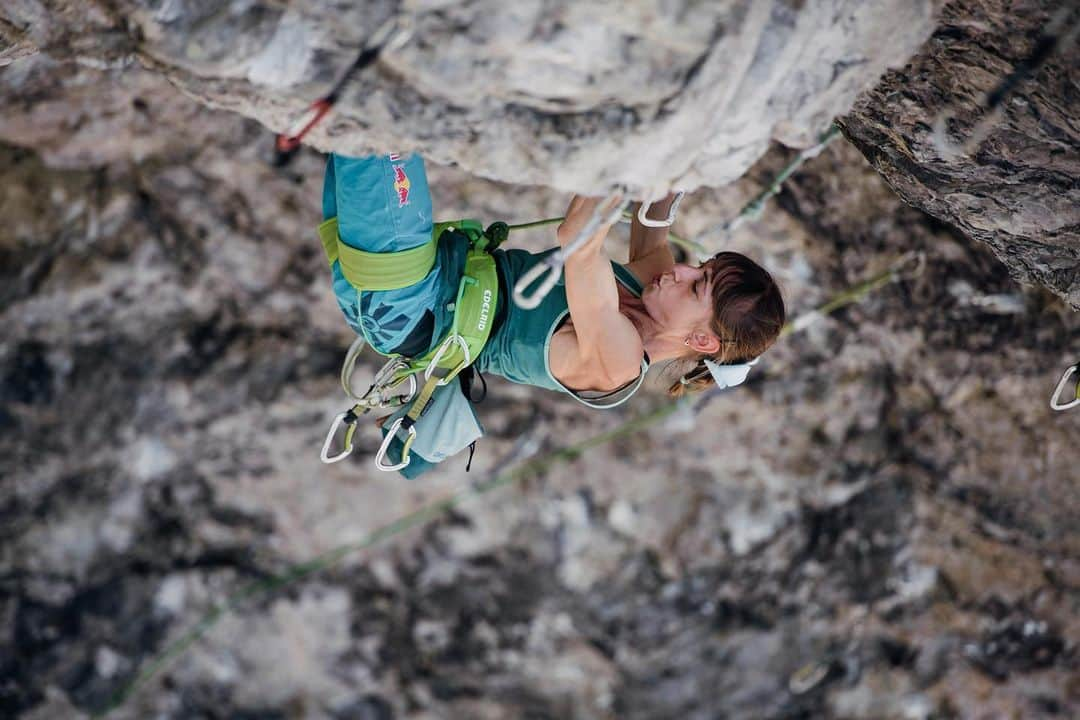 アンジェラ・アイターさんのインスタグラム写真 - (アンジェラ・アイターInstagram)「Tackling difficult routes on rock is just as much a part of it as climbing well when I feel like it. The balance has to be right.  I'm curious which route will drive me next ☺️ • 📸 @claudia.ziegler //: „Schatzinsel, ~9a“ • #verleihtflügel @outdoorregionimst @lasportivagram @team_edelrid」11月2日 14時18分 - angyeiter