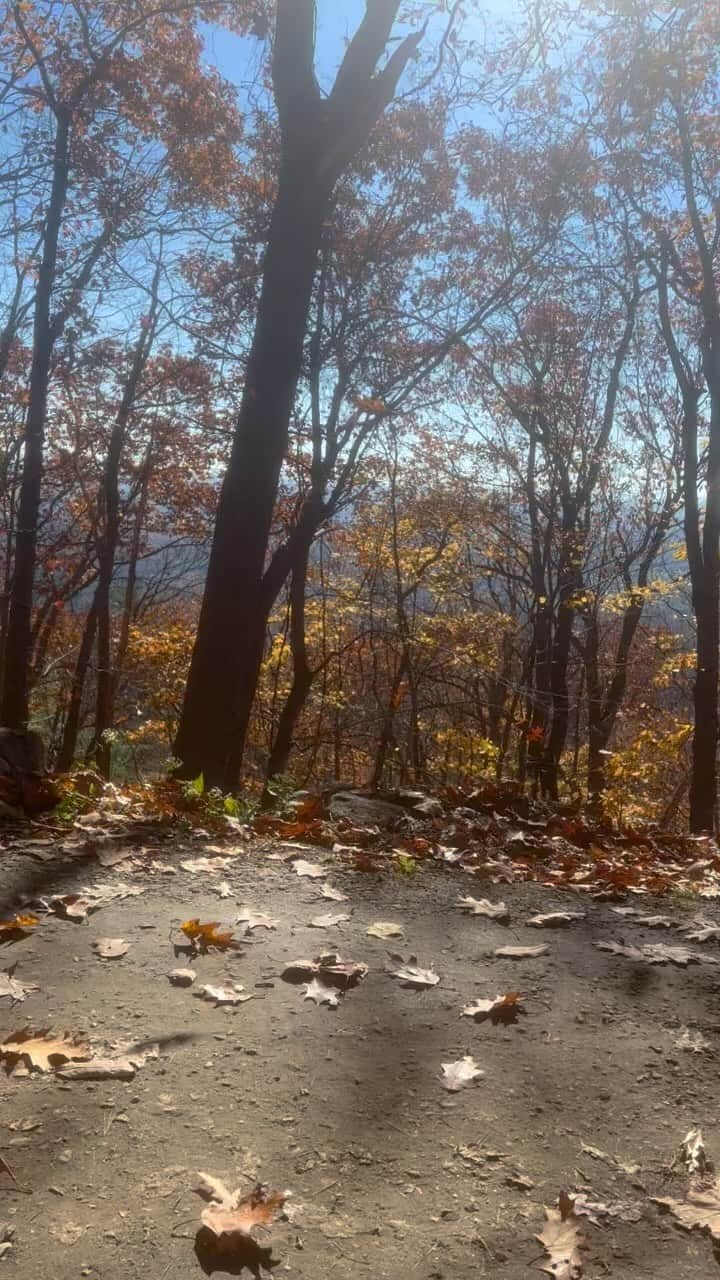ライアン・エゴールドのインスタグラム：「shooting upstate today 🍂」