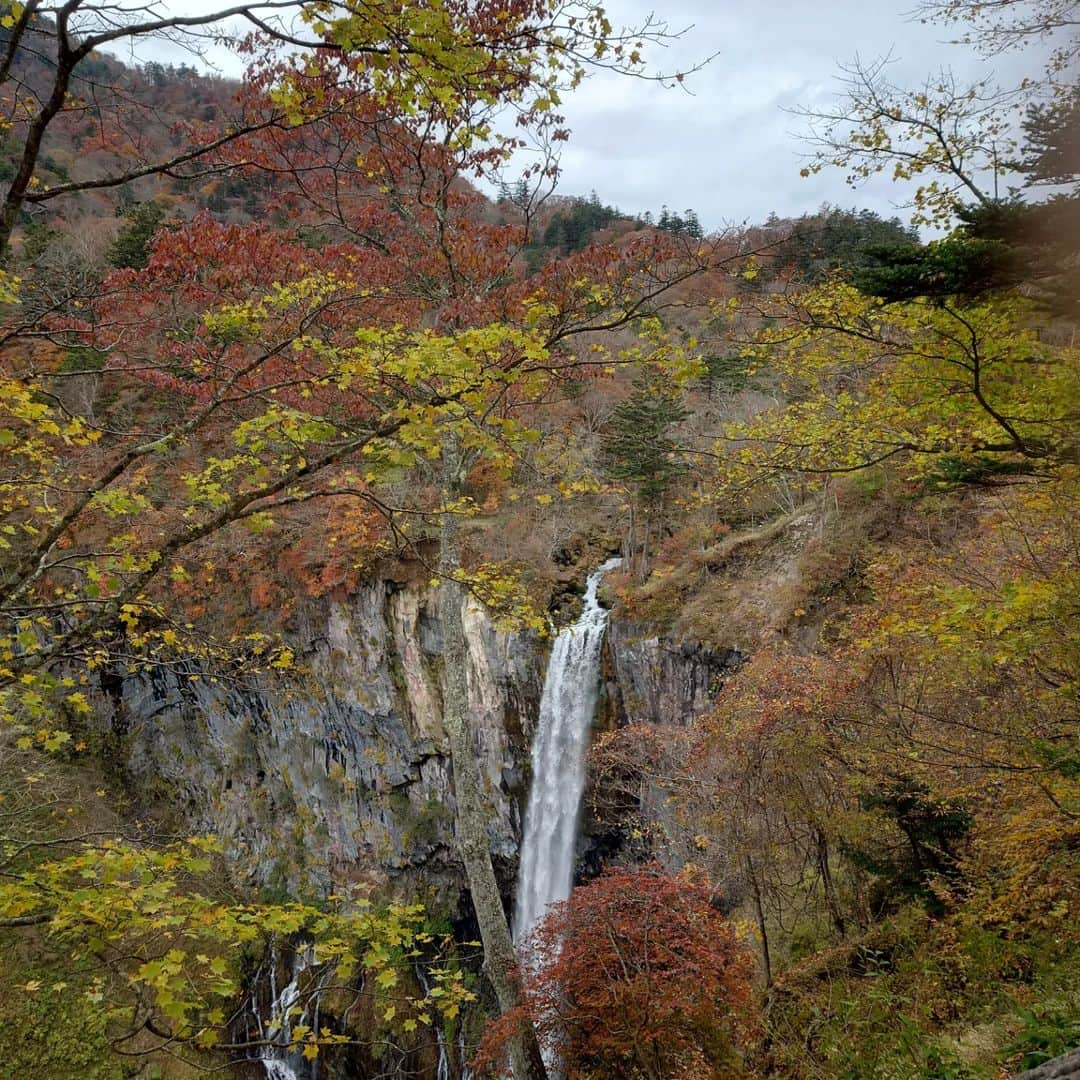 Mayagekaさんのインスタグラム写真 - (MayagekaInstagram)「栃木観光 ①  修学旅行で行った小学生の時はなにも感じなかった景色とか自然に感動できる大人になりました  #華厳の滝 #中禅寺湖 #日光自然博物館 #天然温泉 #南大門」11月2日 18時56分 - mayageka1993