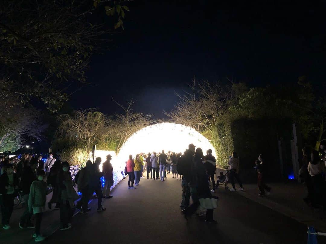 走裕介のインスタグラム：「三重県桑名市 なばなの里の イルミネーショントンネル すごい人でした〜😅 #走裕介  #イルミネーション」
