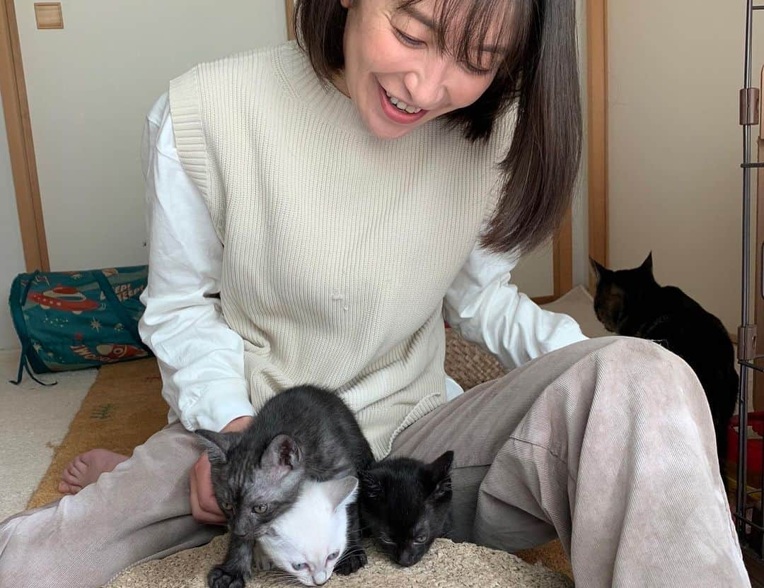 小野真弓さんのインスタグラム写真 - (小野真弓Instagram)「おはようございます☺️  いろんな組み合わせで、 ごろりんちょ〜 🦝🐏🐯🐯🐼🙋‍♀️ 🦁🐻‍❄️🐨🐻😸😸🐈‍⬛ だんらんのけしき✨  みんなの、のんびり雰囲気のお陰で〜 ゆったりとした時間が流れております🏡☺️🐾  今日はそれを眺めながら〜👀 おかーさんは、お家の作業✏️🙋‍♀️  毎年恒例の、 領収書の整理やら〜 申告書類を何やらと〜 ごそごそごそごそ。✏️  今日も良い天気😆 よい、一日を🍀🐾👣  #ハルアオ #ナナ #ハルアオチリ #ハナアオチリ #ナナかーさん #アオチリ #ハナチリ #カフゆきみだいふく #ぽんぽこ #カフゆきみだいふくかーさん  #犬と猫のいる暮らし#犬猫日記#変わらぬ景色#変わってゆく景色#一期一会 #まもなく卒業猫6 #カフカ#ゆきみだいふく#ぽんぽこ #仮かぞく#元野良#ずっとの家族へ#幸せバトン #地域猫活動#TNR #お外で暮らす猫たちに理解と愛情を」11月3日 9時50分 - hanaharuaroi