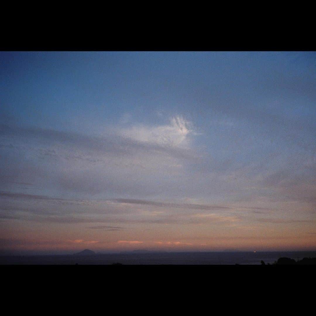 大島涼花のインスタグラム：「🎞💠✨ 犬と猫と空、 #film  #filmcamera」