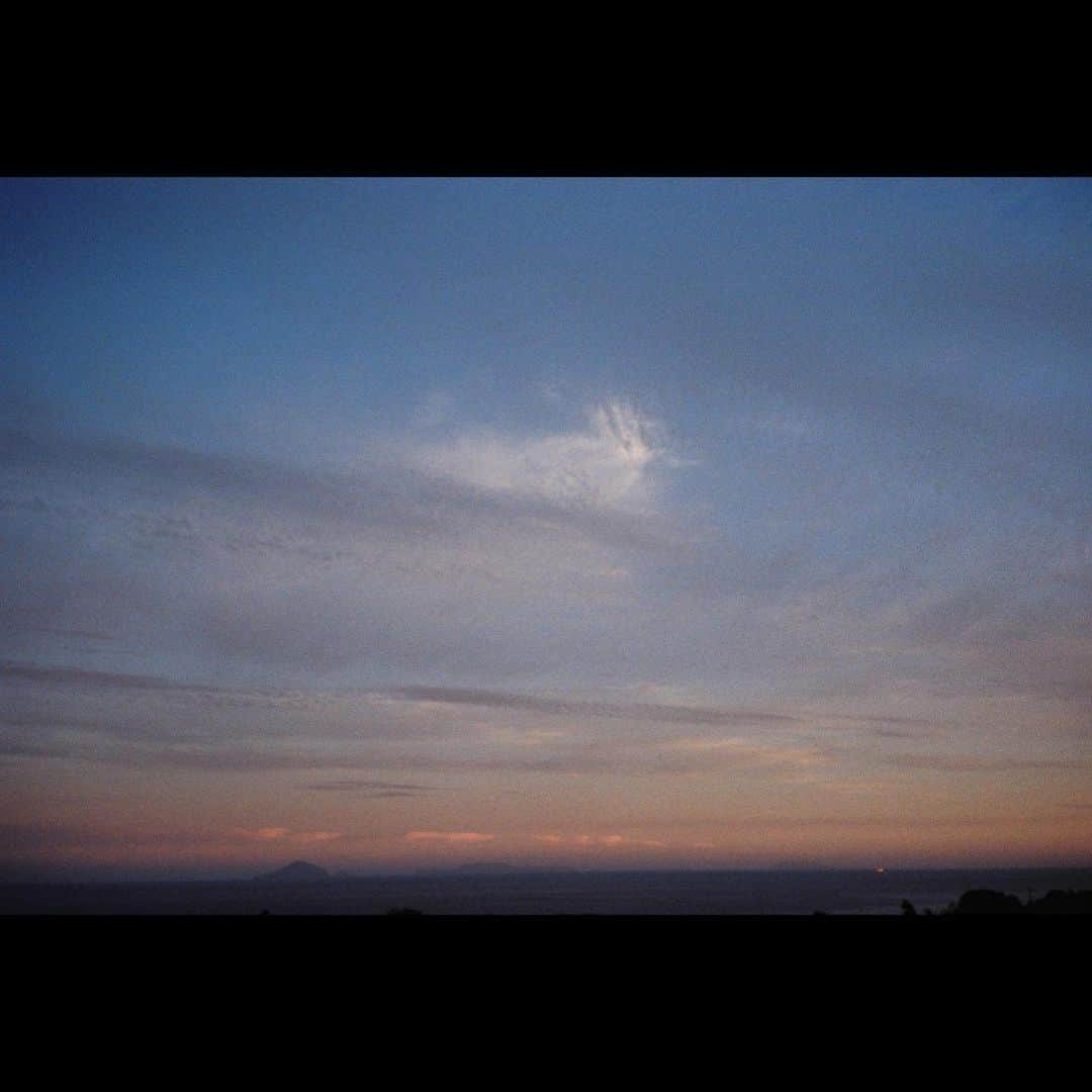 のインスタグラム：「🎞💠✨ 犬と猫と空、 #film  #filmcamera」