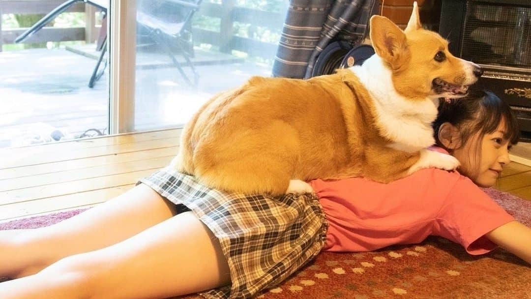 松山あおいのインスタグラム：「YouTubeに、ゆずぽんとなかよし6 を公開しました🙏 https://youtu.be/bLWTG8TP6ao」