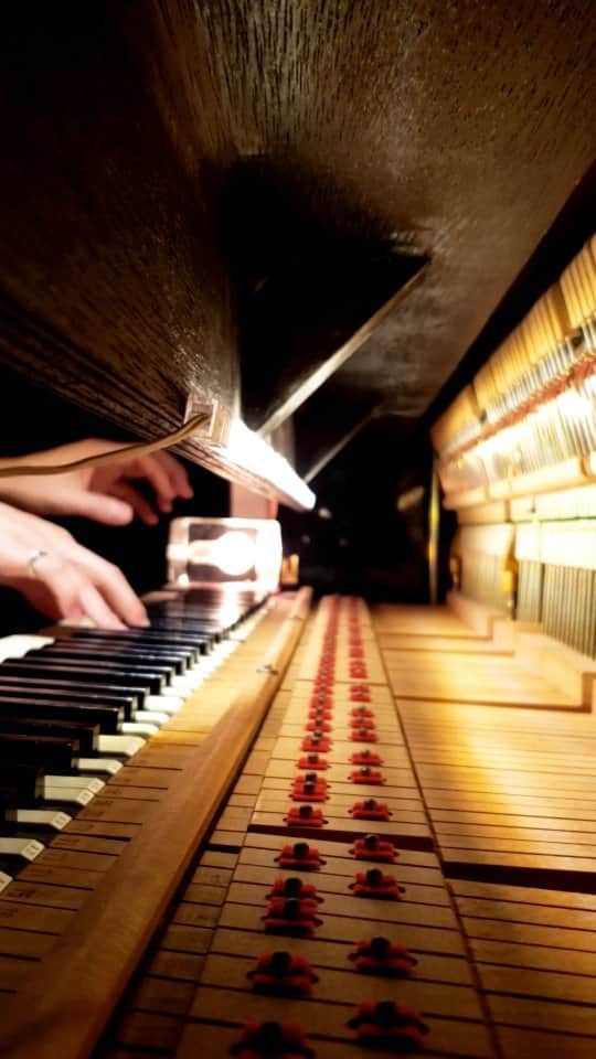 大久保裕太のインスタグラム：「『Tamago 2004』.  俺が癒されて寝る。おやすみなさい。  #piano#pianoman#okbpiano#instapiano#music #goodnight #ryuichisakamoto#坂本龍一」