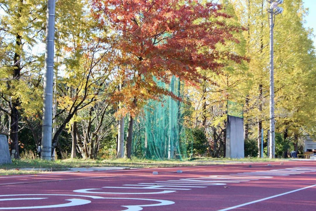 川端魁人さんのインスタグラム写真 - (川端魁人Instagram)「紅葉🍁✖︎中京大学陸上競技場  この時期になると競技場の紅葉が見頃になります！  いつか写真撮ろうと思っていてやっと今日撮れました📸  やっぱり朝は綺麗な写真が撮れます✨  明日は豊田キャンパス✖︎紅葉の写真載せます！  #紅葉　#中京大学　#陸上競技場　#カメラ男子　#🍁　#📷」11月3日 13時23分 - kit_817kk