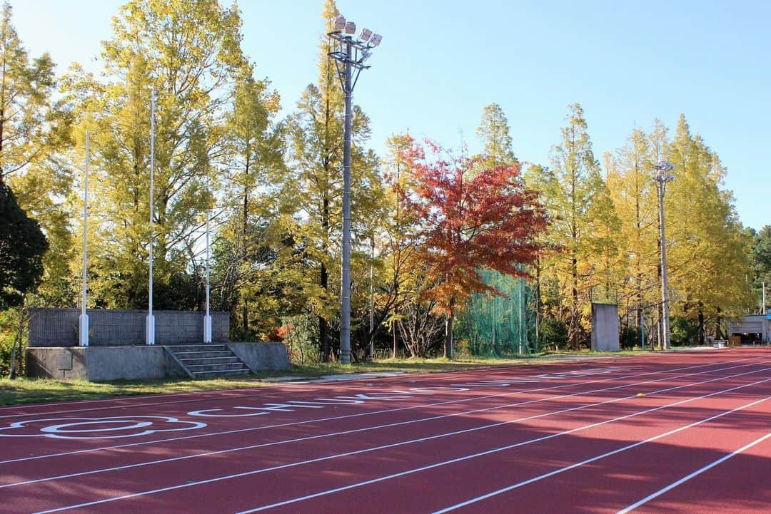 川端魁人のインスタグラム：「紅葉🍁✖︎中京大学陸上競技場  この時期になると競技場の紅葉が見頃になります！  いつか写真撮ろうと思っていてやっと今日撮れました📸  やっぱり朝は綺麗な写真が撮れます✨  明日は豊田キャンパス✖︎紅葉の写真載せます！  #紅葉　#中京大学　#陸上競技場　#カメラ男子　#🍁　#📷」