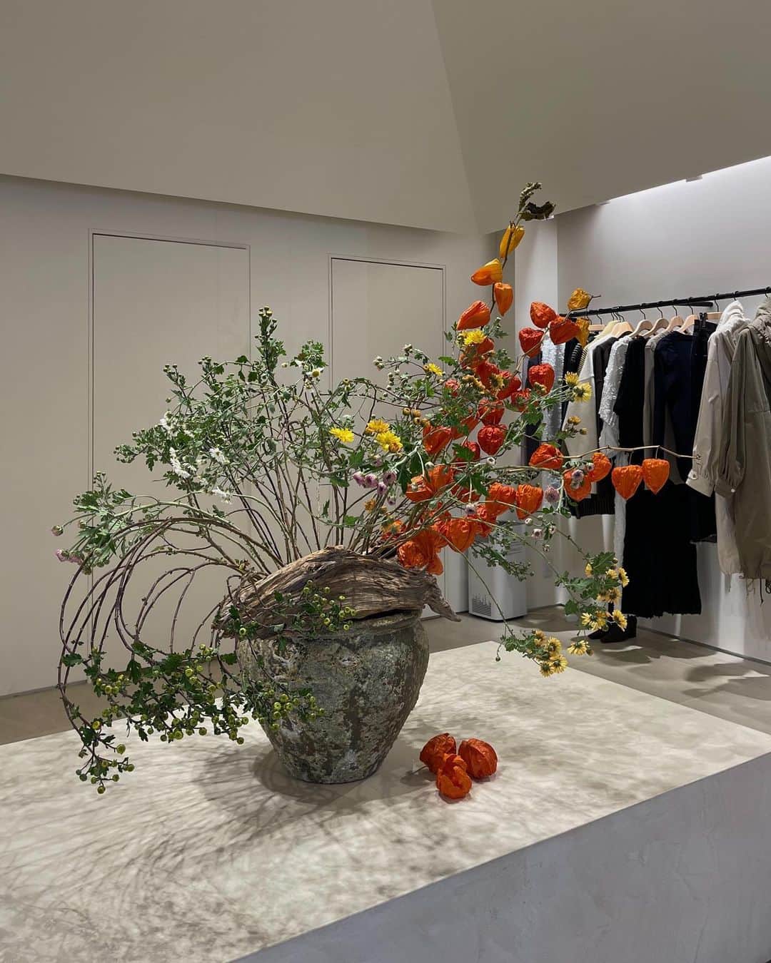 佐藤涼実のインスタグラム：「今月の店内装花。立派なホオズキ🧡」